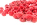 Dripping raspberry on white background. Royalty Free Stock Photo