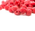 Dripping raspberry on white background. Royalty Free Stock Photo