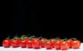 Dripping red tomatoes in a row Royalty Free Stock Photo