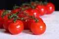 Dripping red tomatoes in a row on a white table Royalty Free Stock Photo
