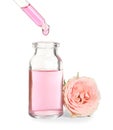 Dripping rose essential oil from pipette into bottle and flower on white Royalty Free Stock Photo