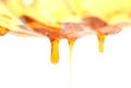 Dripping thyme honey.