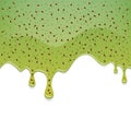 Drips of kiwi or gooseberry jam. Royalty Free Stock Photo