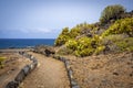 Drive on colourful coast landscapes at the Teno on Tenerife