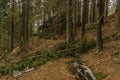 Drive of creek in mountains Krusne in north Bohemia in spring day Royalty Free Stock Photo