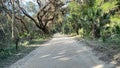 The drive through the forrest in Timucuan Ecological National Park