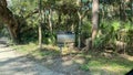 The drive through the forrest in Timucuan Ecological National Park