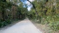 The drive through the forrest in Timucuan Ecological National Park