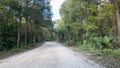 The drive through the forrest in Timucuan Ecological National Park