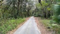 The drive through the forrest in Timucuan Ecological National Park in Jacksonville, Florida