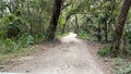 The drive through the forrest in Timucuan Ecological National Park in Jacksonville, Florida