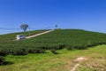 Drive a van in the tea plantation