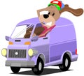 Driver dog Royalty Free Stock Photo