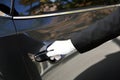 Driver opening car door, closeup Royalty Free Stock Photo