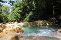 Driver`s river near Reach falls in Jamaica