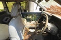 Driver\'s seat of a rusted and abandoned vehicle in Koh Chang Island Royalty Free Stock Photo