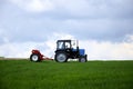 Driver wheeled tractor fertilizing winter wheat with mineral fertilizers