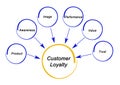 Drivers of Customer Loyalty