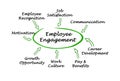 Drivers of Employee Engagement