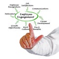 Drivers of Employee Engagement