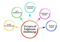 Drivers of Employee Wellbeing