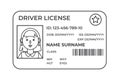 Drivers License. A plastic identity card. Vector outline illustration of the template Royalty Free Stock Photo
