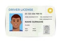 Drivers License. A plastic identity card. Vector flat illustration of the template. Royalty Free Stock Photo