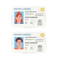 Drivers License. A plastic identity card. Vector flat illustration of the template. Royalty Free Stock Photo