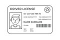 Drivers License. A plastic identity card. Vector outline illustration of the template. Royalty Free Stock Photo
