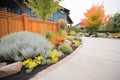 driveway borders with edible shrubbery