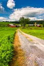 Driveway and farm buildings in rural Baltimore County, Maryland. Royalty Free Stock Photo