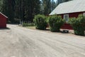 Driveway through the farm Royalty Free Stock Photo