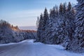 Driveway through the snow-covered forest. Sunlit treetops Royalty Free Stock Photo