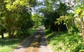 Driveway to Nowhere