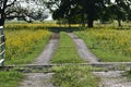 Driveway to a South Texas home