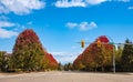 Driving along the beautiful autumn road. Fall scenery of long rows of golden red trees along an avenue in autumn foliage Royalty Free Stock Photo