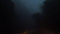 Driving car in dense fog in the evening. Bad weather condition with zero visability. Perspective view from cabin