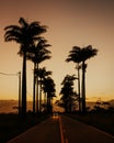 Driving a car in evening sky