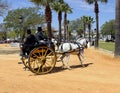 Driving competition dressage test , two-wheeled antique carriage