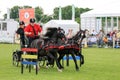 Driving competition horse drawn carriage