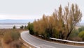 Driving on country road, vanishing point, beauty in nature generated by AI