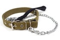 Driving dog and dog collar Royalty Free Stock Photo