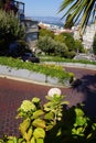 Driving down crookedest street in san francisco