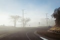 Driving down foggy highway in Malibu Creek State Park Royalty Free Stock Photo