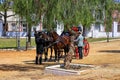 Driving four-wheeled carriage and two horses