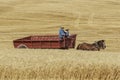 Driving a hay wagon in the field. Royalty Free Stock Photo