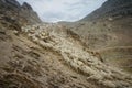 Driving a huge flock of rams and sheep in Dagestan