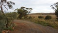 Driving the Nullabor on a highway in the Australian Outback