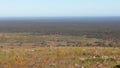 Driving the Nullabor on a highway in the Australian Outback