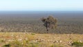 Driving the Nullabor on a highway in the Australian Outback